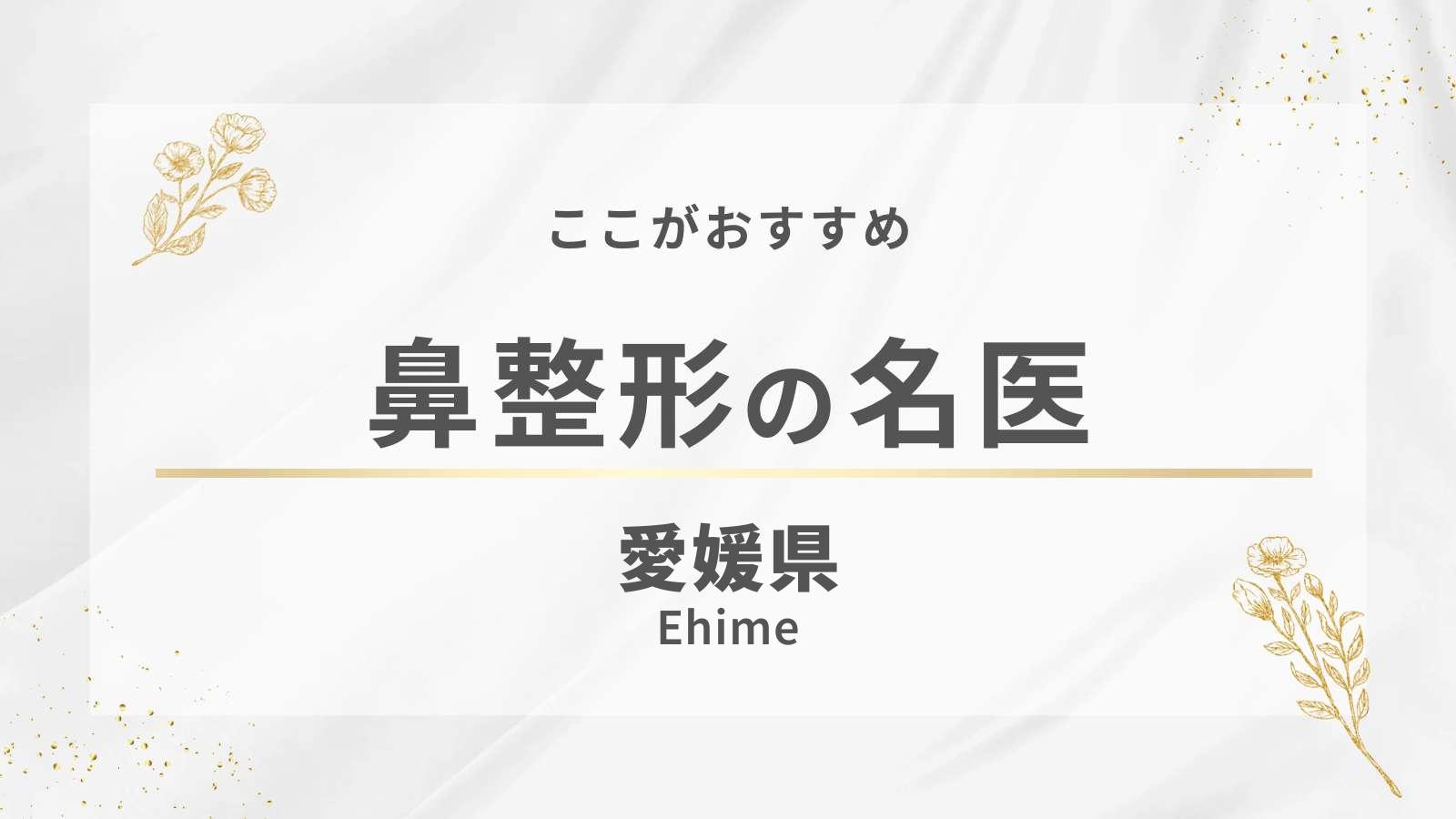 愛媛県の鼻整形