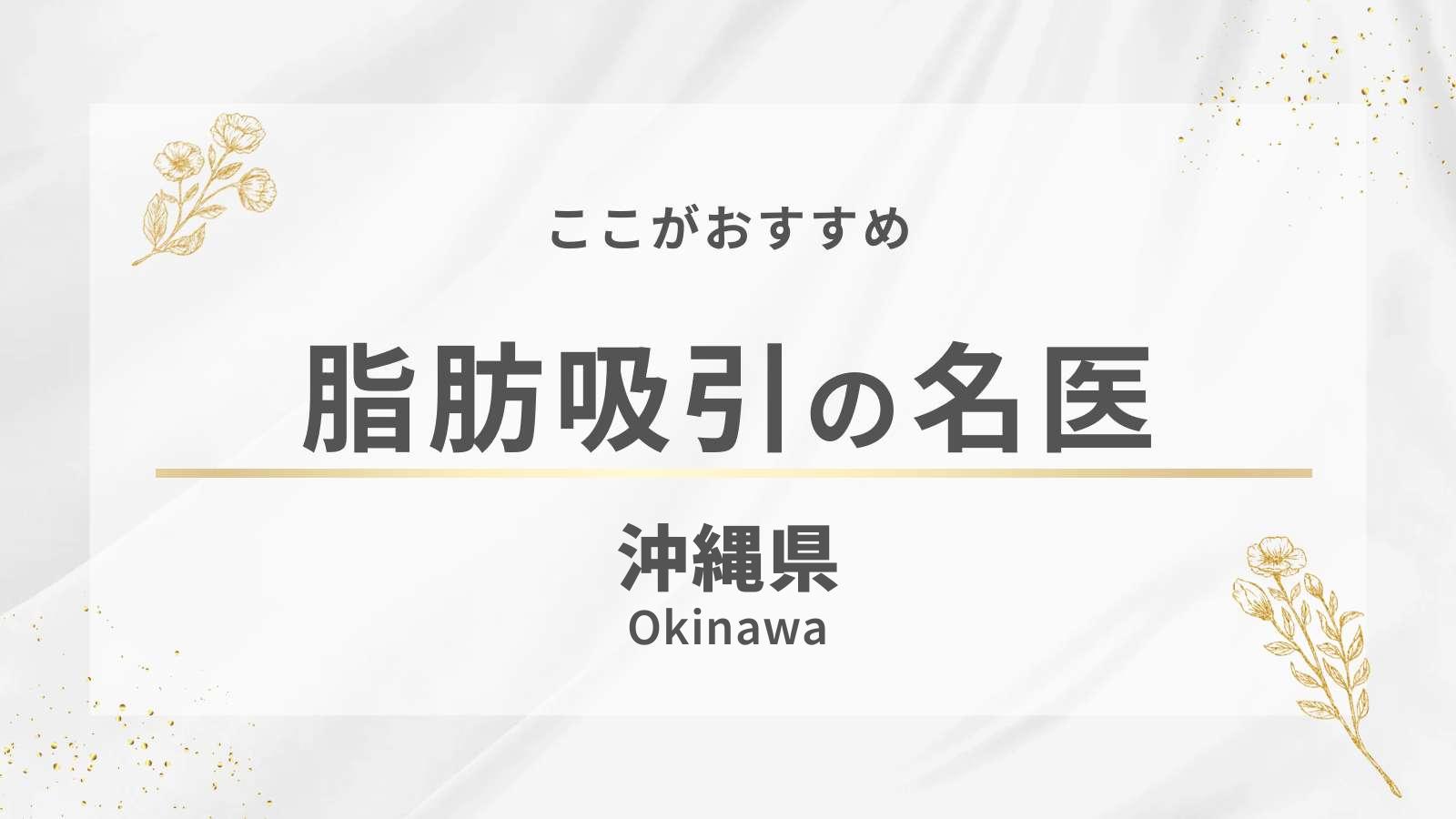 沖縄県の脂肪吸引