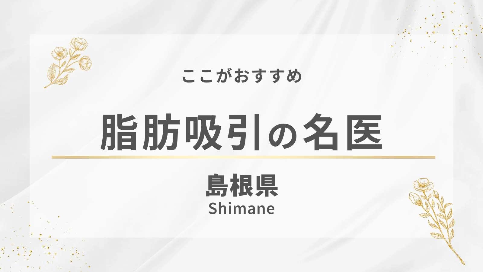 島根県の脂肪吸引