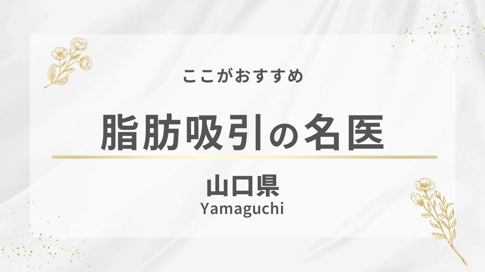 山口県の脂肪吸引